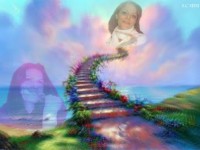 montage photos et réalisation d un film